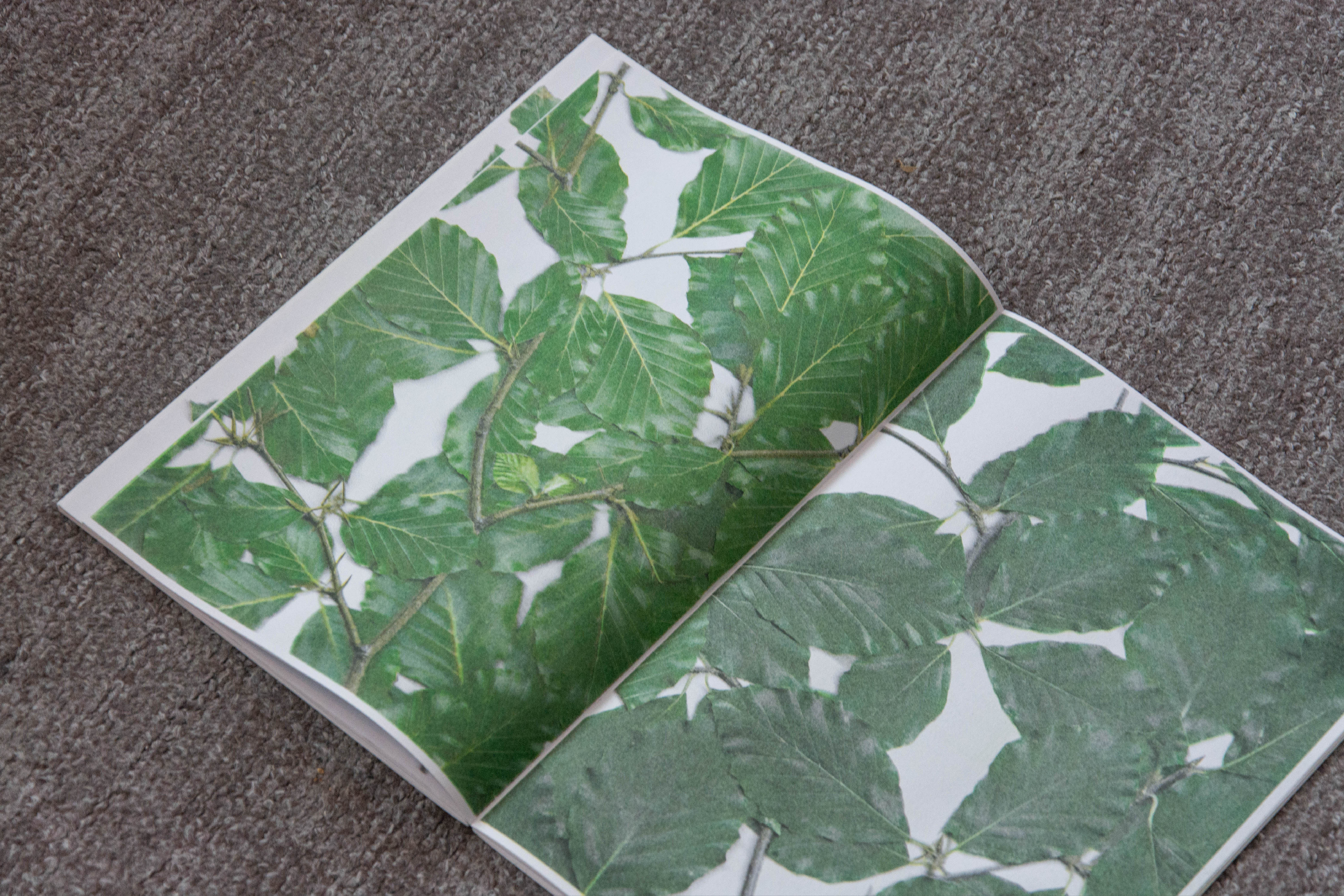 897 Beech Book (artist publication), for Christian+Jade